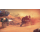 Activision Destiny XBOX ONE - premiera 09.09.2014 - 1392405 - zdjęcie 5